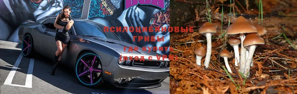 СК Михайловка